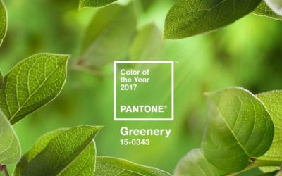 THE YEAR OF GREENERY