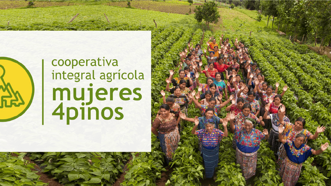 PPC Flexible Packaging Proudly Supports Cooperativa Integral Agrícola Mujeres 4pinos