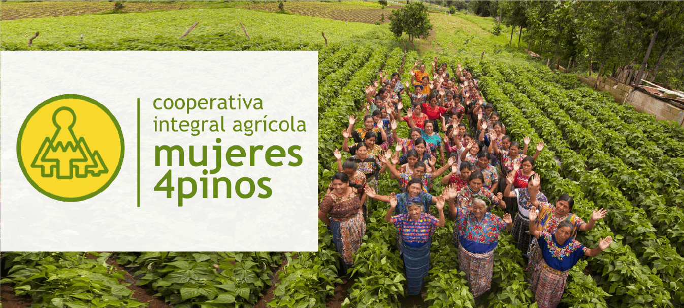 Cooperativa integral Mujeres 4 Pinos@2x-min
