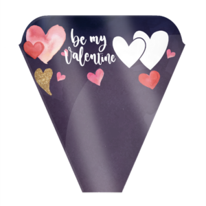 Be My Valentine Sleeve