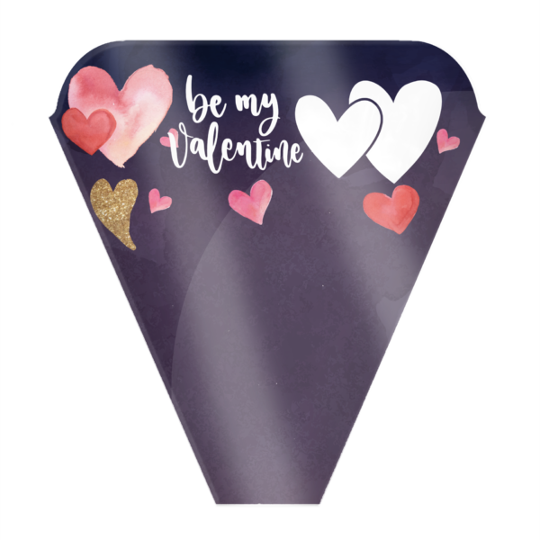 Be My Valentine Sleeve