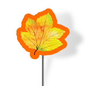 Fall Leaf