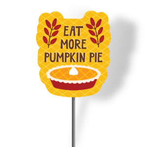 Pumkin Pie