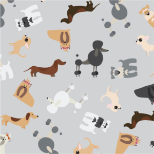 Fancy Pets