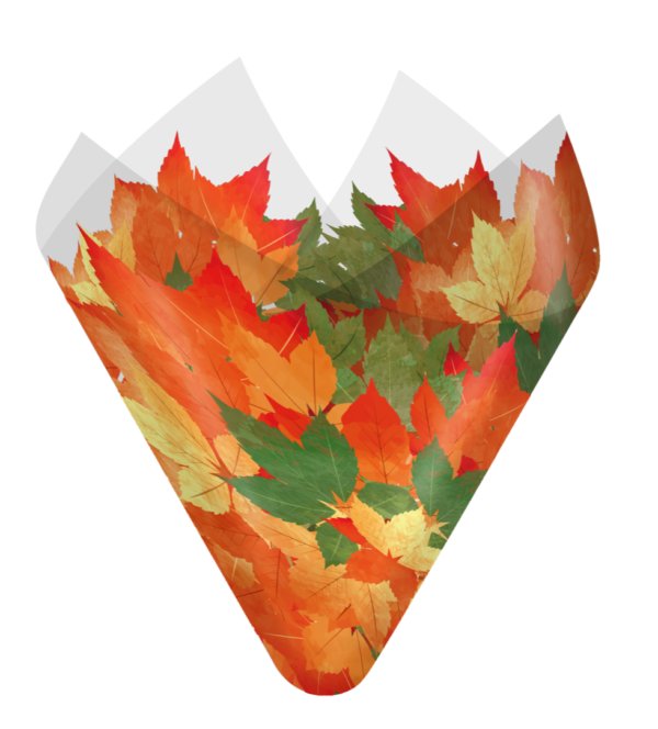 Bountifall Sheet
