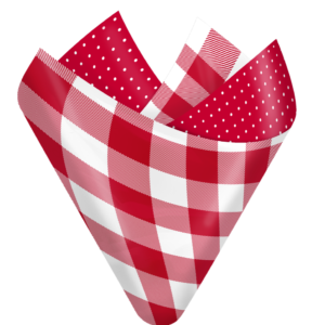 Buffalo Plaid Tiny Dots Flip Sheet