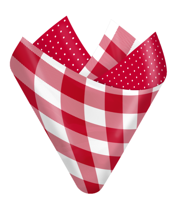 Buffalo Plaid Tiny Dots Flip Sheet