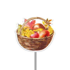 Fruit Basket