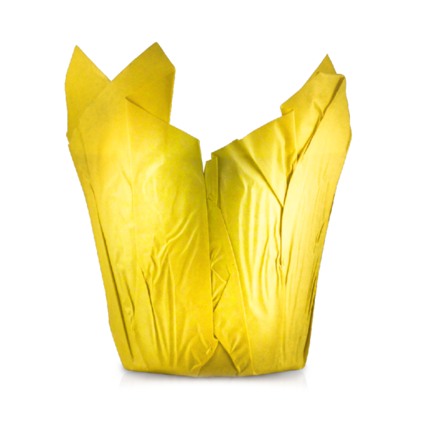 Kraft Burnt Yellow