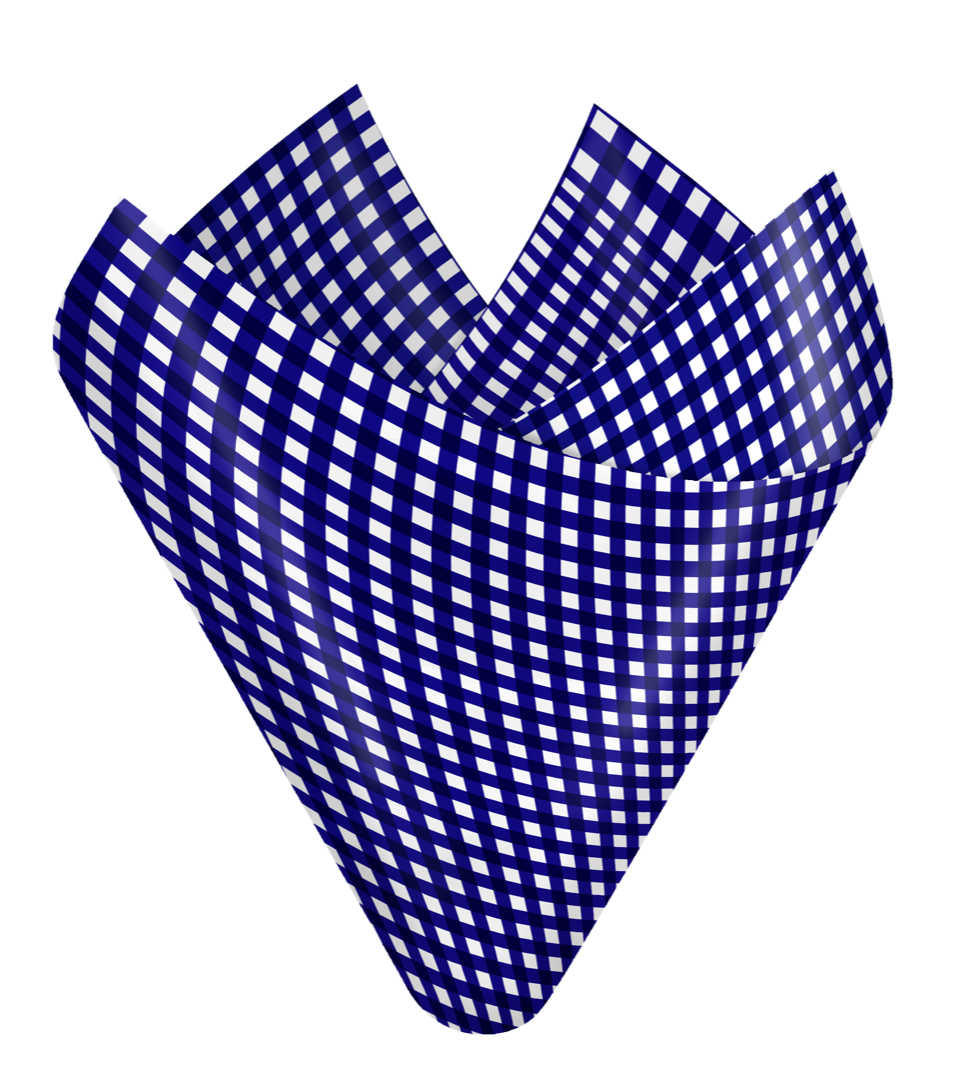 PicnicBlue-flip-sheet-copy.png