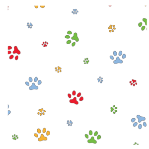 Rainbow Paws