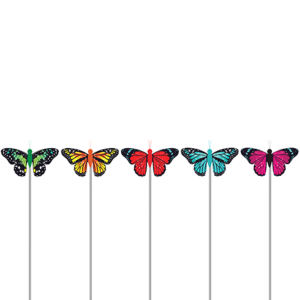 Lady Zafiro - Large Butterflies