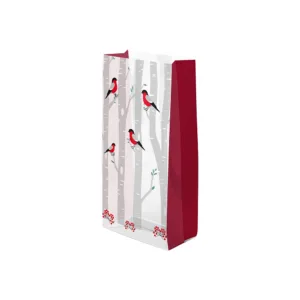 Winter Birds Cello Bag