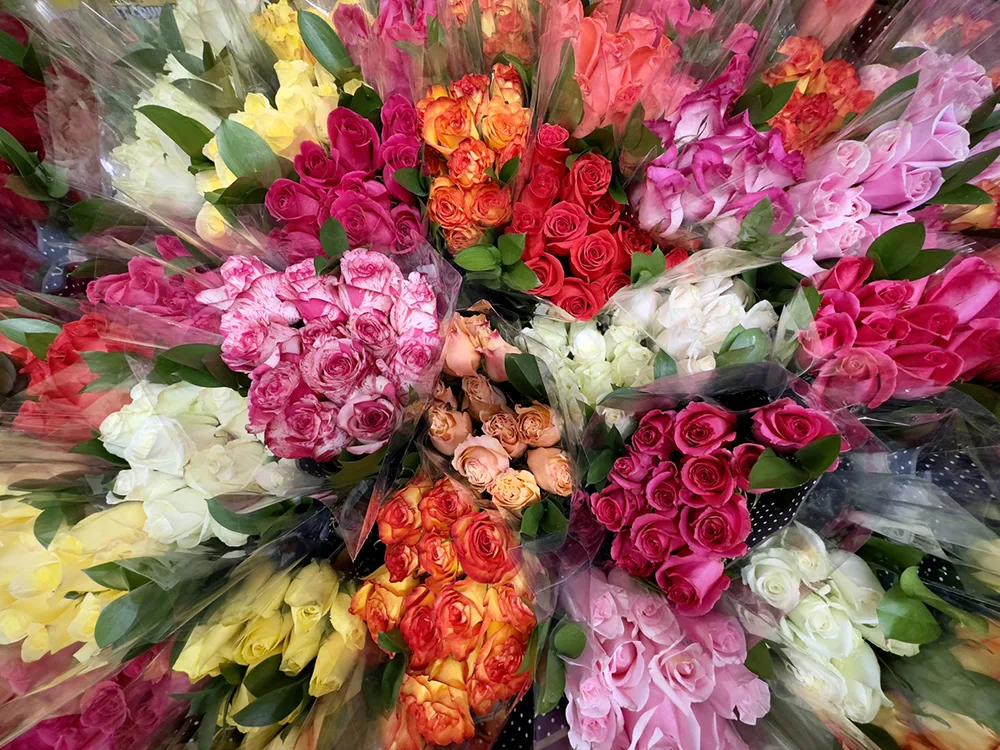 floral wrapping paper rolls floral wrapping paper rolls