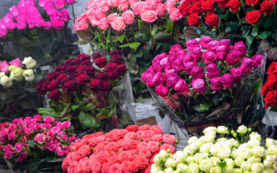 How Floral Picks Can Help You Increase Sales
