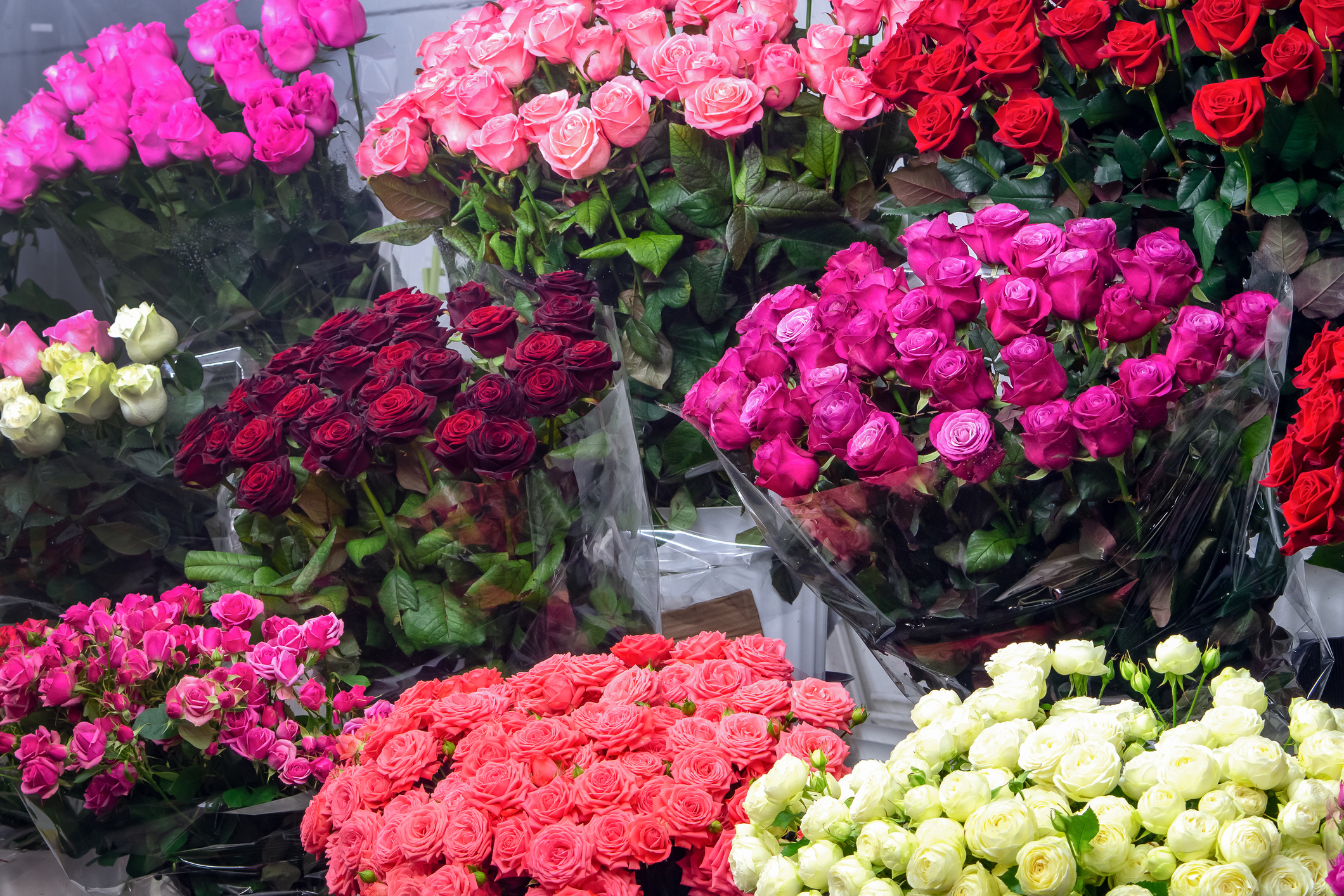 floral picks floral picks